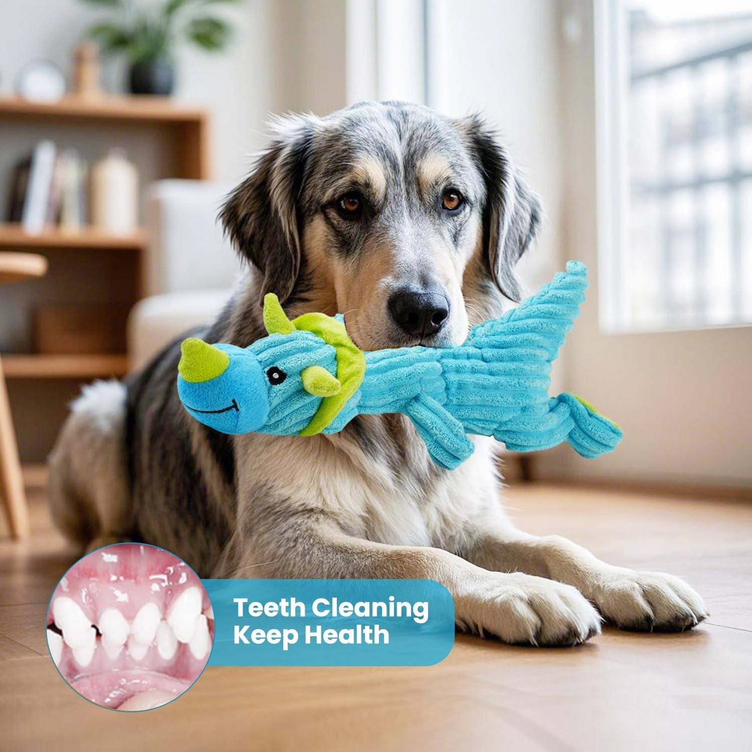 Squeaky Dog Toys for Large Dogs: Plush Dog Toys with Soft Fabric - Pet Toys for Small, Medium, and Large Dogs - Puppy Toys to Keep Them Busy